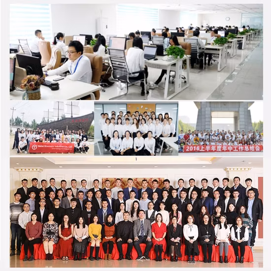 24 個鉄ボックス 1/2 インチメカニックツールセットクロームバナジウムソケットレンチセット固定用